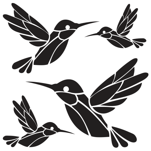Colibrí - Image 2