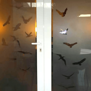 Aves