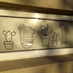 Cactus